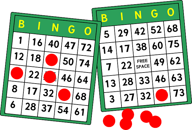 bingo-g5bb101db6_640.png