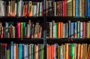 shelves of books