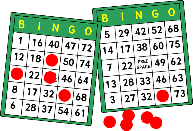 SENIOR SOCIAL BINGO