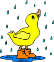 yellow duck in the rain