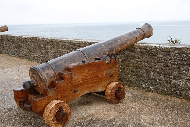 cannon-3624734_640.jpg