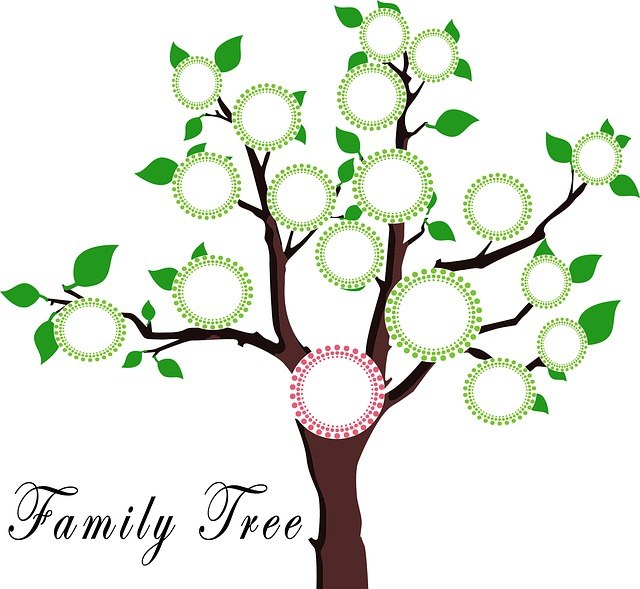 tree-g3a4952f84_640.jpg