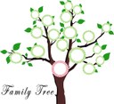 family tree